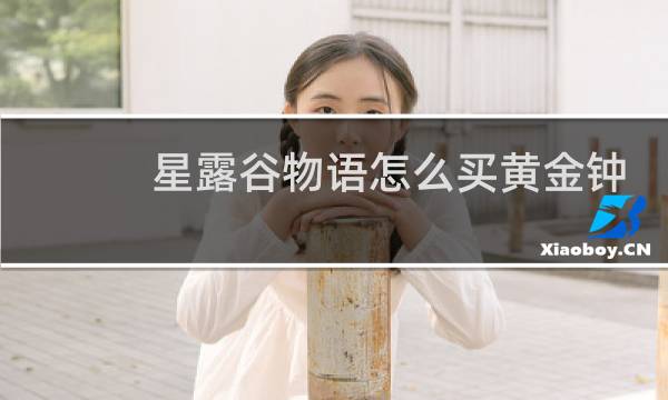 星露谷物语怎么买黄金钟
