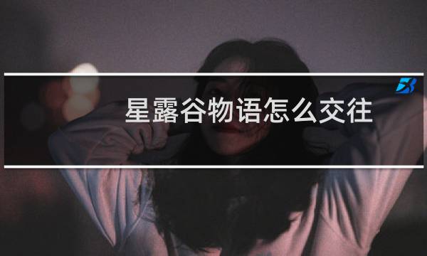 星露谷物语怎么交往