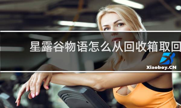 星露谷物语怎么从回收箱取回