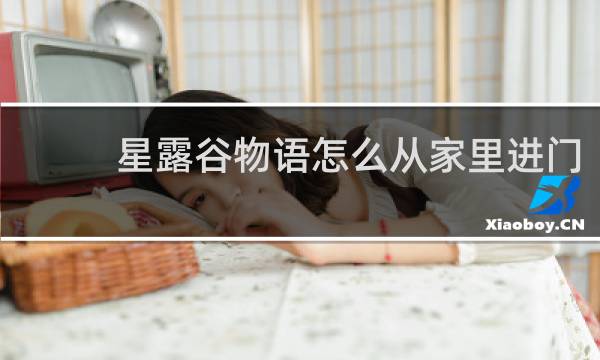 星露谷物语怎么从家里进门