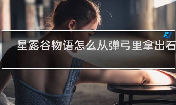 星露谷物语怎么从弹弓里拿出石头