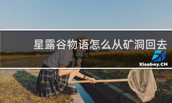 星露谷物语怎么从矿洞回去