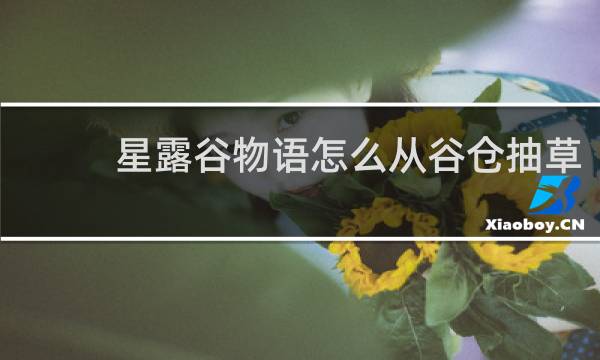 星露谷物语怎么从谷仓抽草