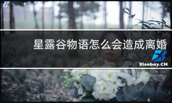 星露谷物语怎么会造成离婚