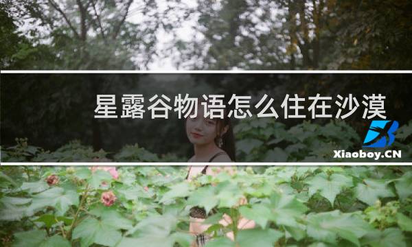 星露谷物语怎么住在沙漠