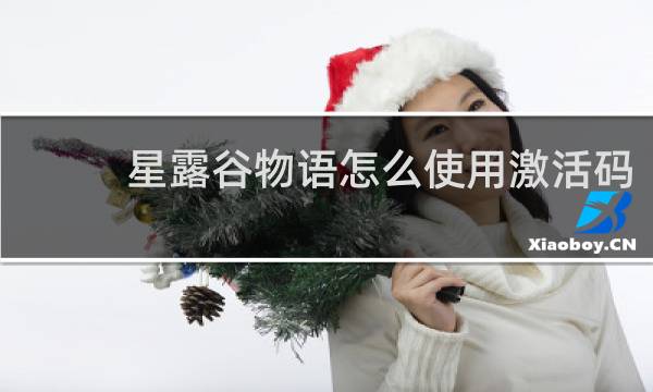 星露谷物语怎么使用激活码