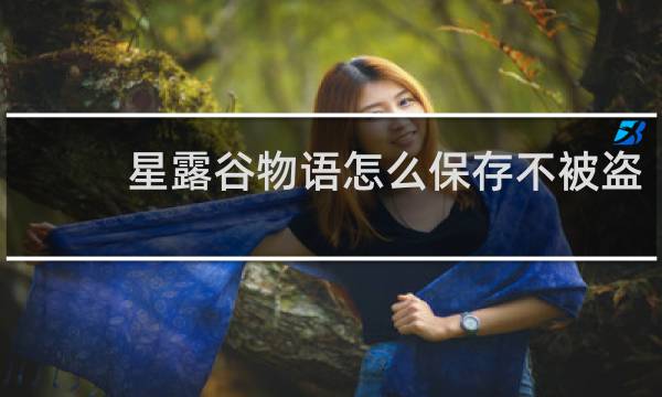 星露谷物语怎么保存不被盗