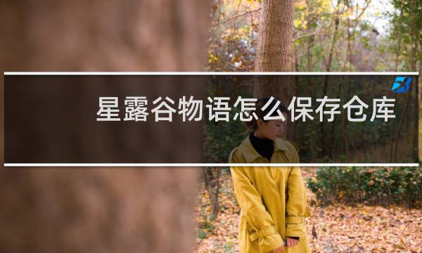 星露谷物语怎么保存仓库