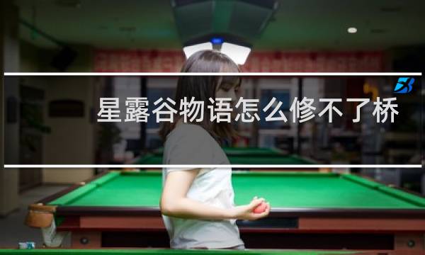 星露谷物语怎么修不了桥