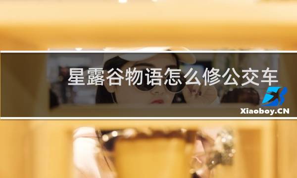 星露谷物语怎么修公交车