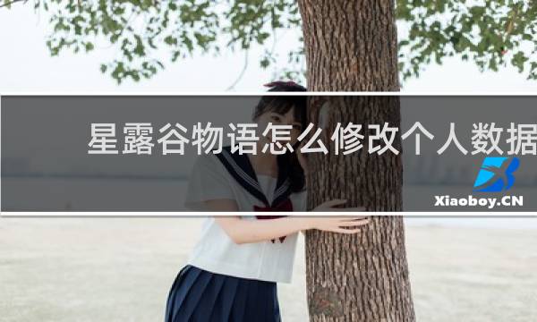 星露谷物语怎么修改个人数据