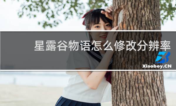星露谷物语怎么修改分辨率