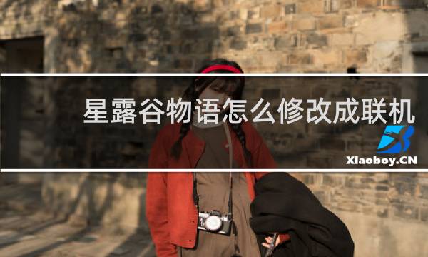星露谷物语怎么修改成联机