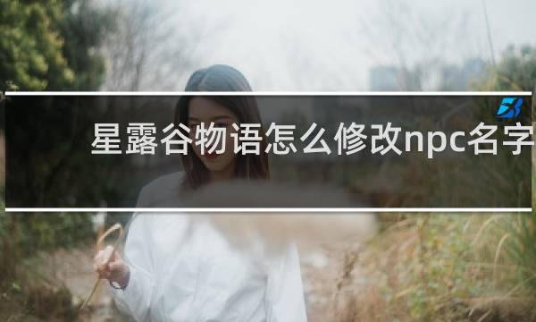 星露谷物语怎么修改npc名字