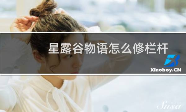 星露谷物语怎么修栏杆