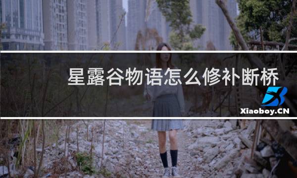 星露谷物语怎么修补断桥