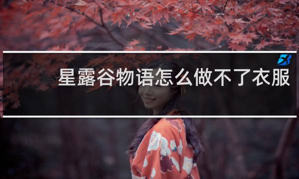 星露谷物语怎么做不了衣服