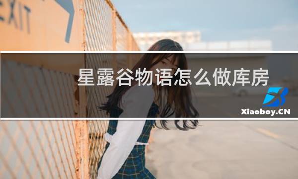 星露谷物语怎么做库房
