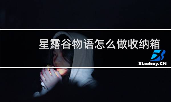 星露谷物语怎么做收纳箱