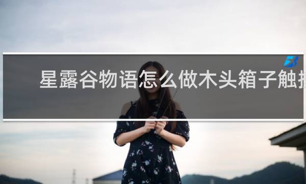 星露谷物语怎么做木头箱子触摸