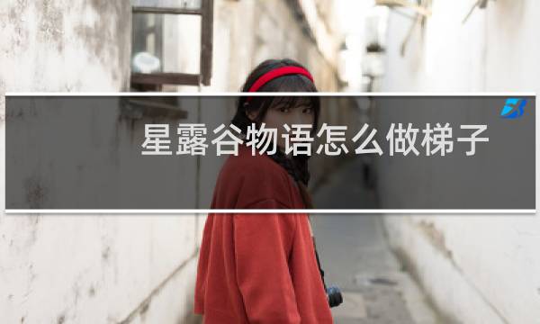 星露谷物语怎么做梯子