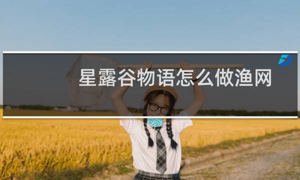 星露谷物语怎么做渔网