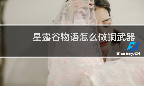 星露谷物语怎么做铜武器