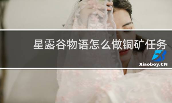 星露谷物语怎么做铜矿任务