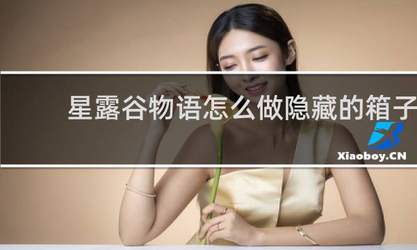 星露谷物语怎么做隐藏的箱子