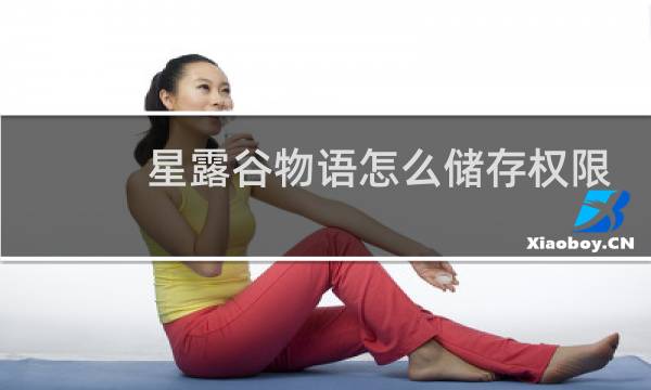 星露谷物语怎么储存权限