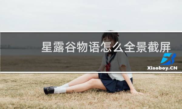 星露谷物语怎么全景截屏