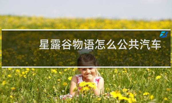 星露谷物语怎么公共汽车