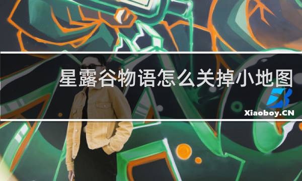 星露谷物语怎么关掉小地图