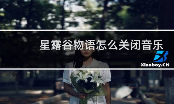 星露谷物语怎么关闭音乐