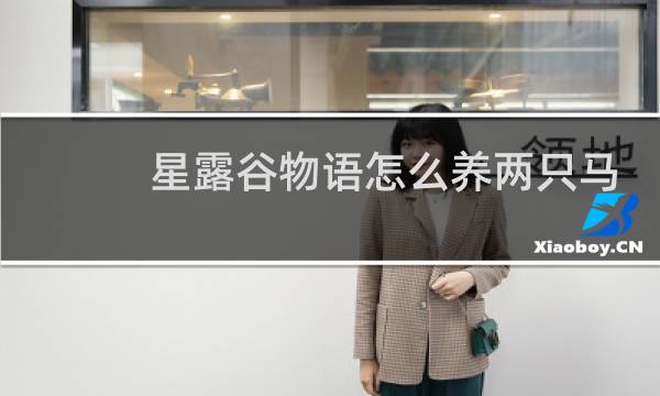 星露谷物语怎么养两只马