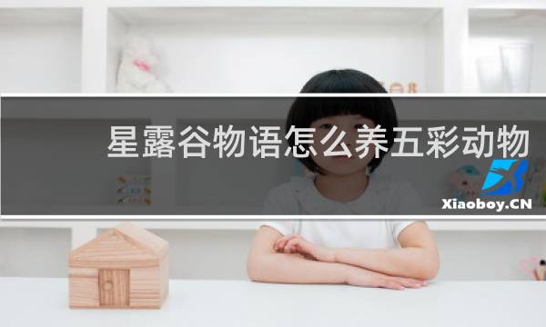 星露谷物语怎么养五彩动物