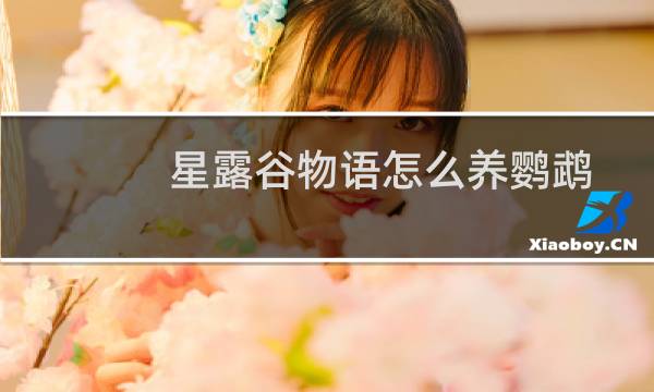 星露谷物语怎么养鹦鹉