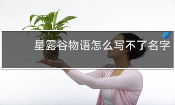 星露谷物语怎么写不了名字