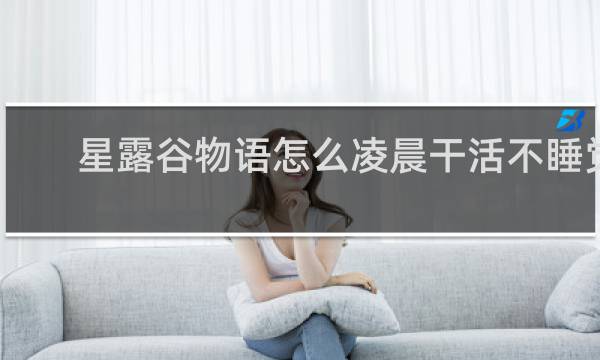 星露谷物语怎么凌晨干活不睡觉