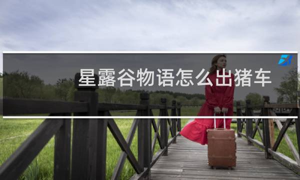 星露谷物语怎么出猪车
