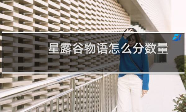 星露谷物语怎么分数量