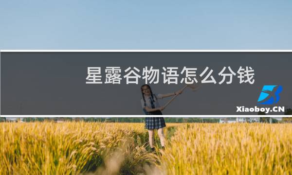 星露谷物语怎么分钱