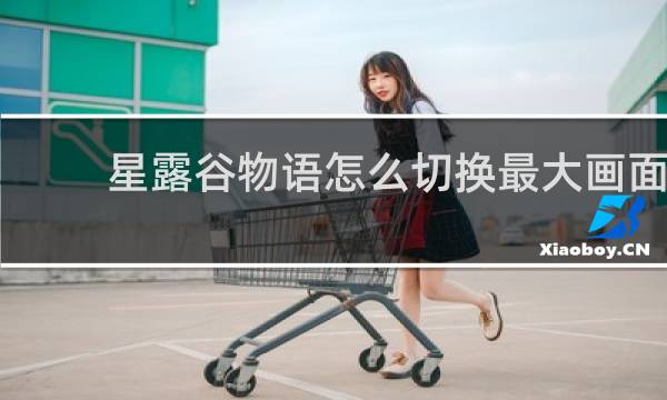星露谷物语怎么切换最大画面