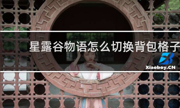 星露谷物语怎么切换背包格子