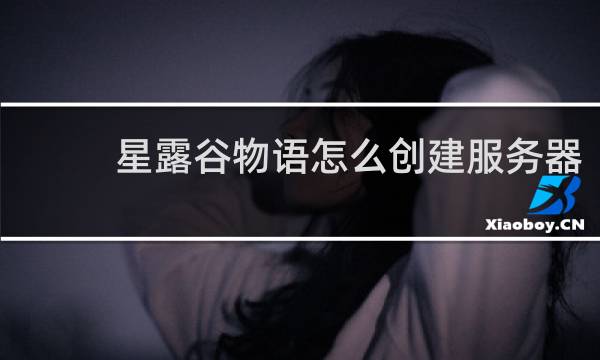 星露谷物语怎么创建服务器