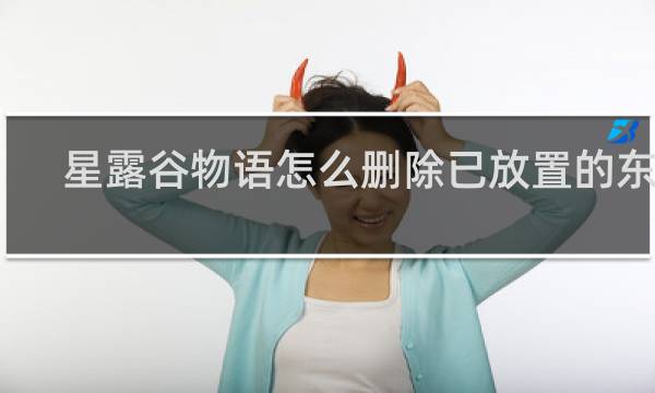 星露谷物语怎么删除已放置的东西