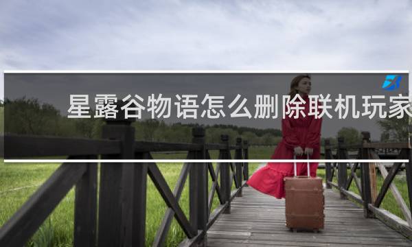 星露谷物语怎么删除联机玩家