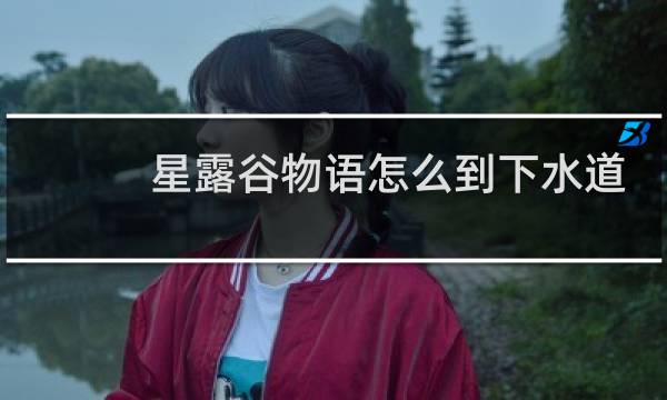 星露谷物语怎么到下水道