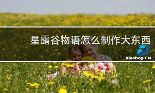 星露谷物语怎么制作大东西