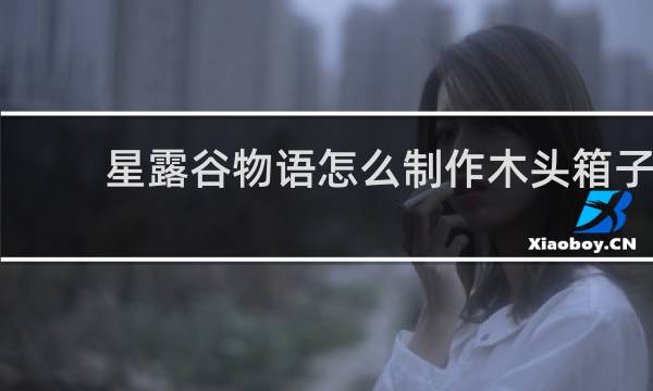 星露谷物语怎么制作木头箱子